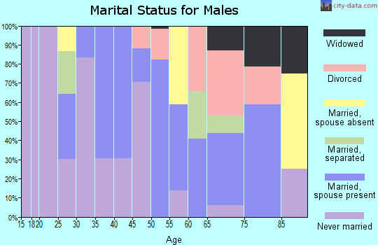 Zip code 29935 marital status for males