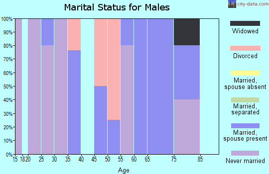 Zip code 29939 marital status for males
