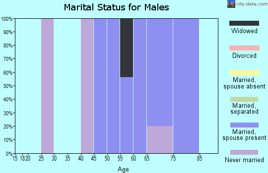 Zip code 29941 marital status for males