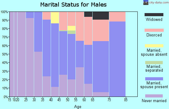 Zip code 30002 marital status for males