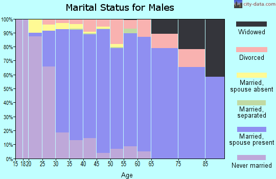 Zip code 30004 marital status for males