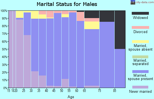 Zip code 30005 marital status for males