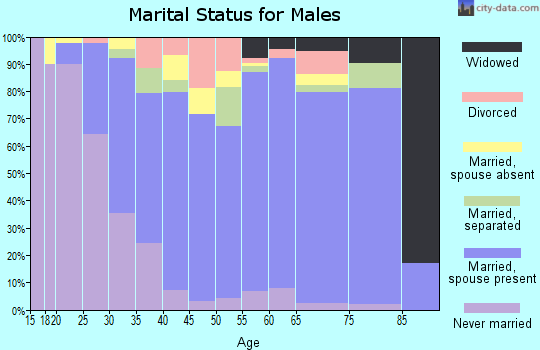 Zip code 30013 marital status for males
