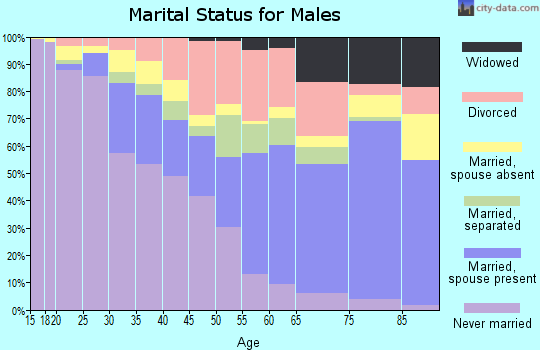 Zip code 30032 marital status for males