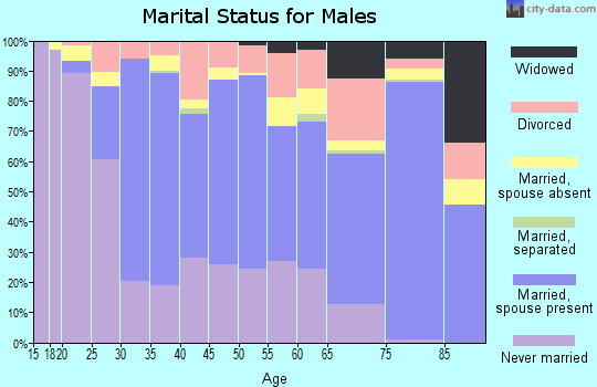 Zip code 30033 marital status for males