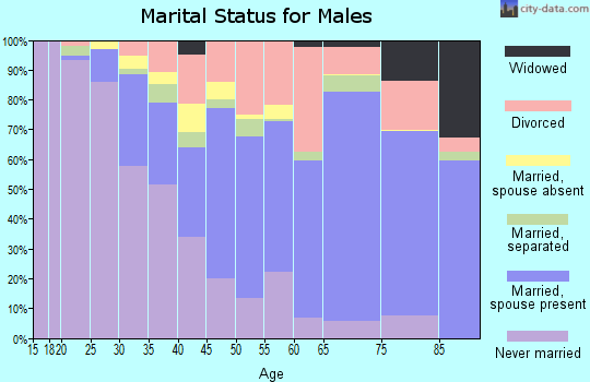 Zip code 30034 marital status for males