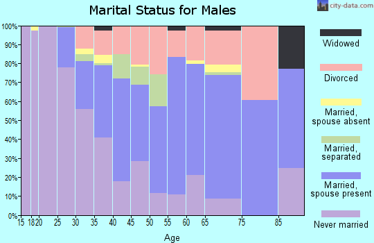 Zip code 30038 marital status for males
