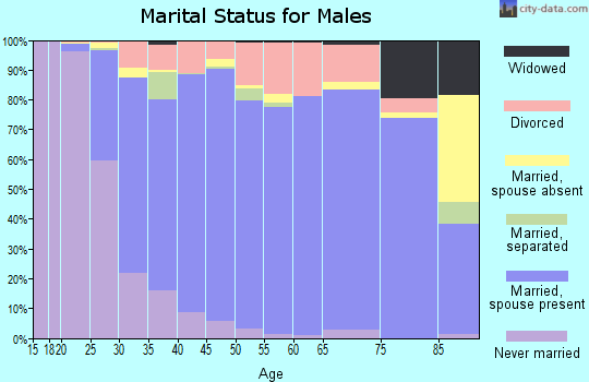 Zip code 30040 marital status for males