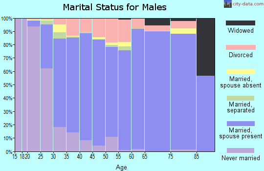 Zip code 30041 marital status for males