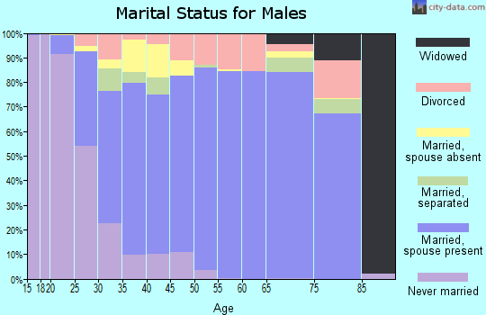 Zip code 30045 marital status for males