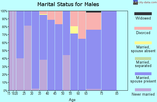 Zip code 30055 marital status for males