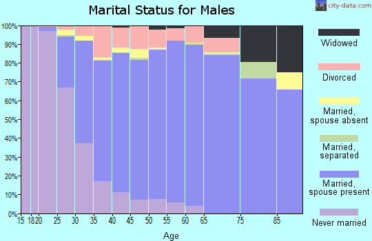 Zip code 30062 marital status for males