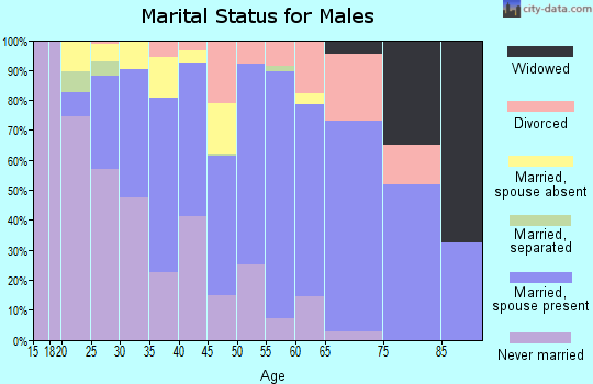 Zip code 30071 marital status for males