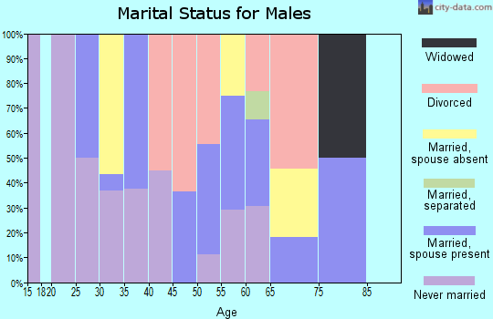 Zip code 30072 marital status for males