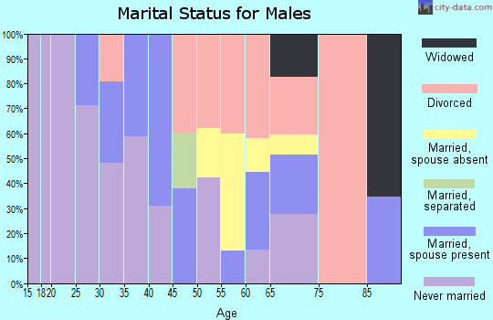 Zip code 30079 marital status for males