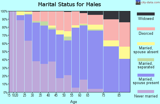 Zip code 30080 marital status for males