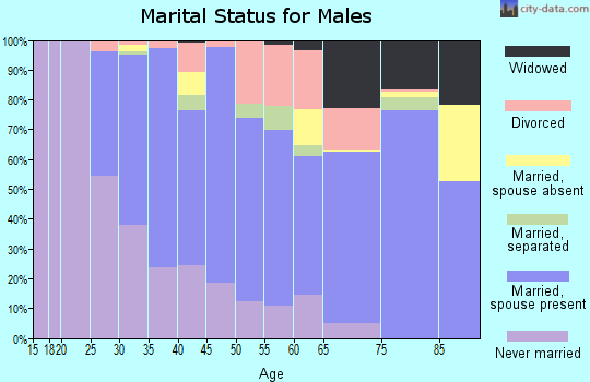 Zip code 30082 marital status for males