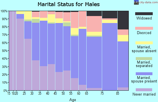 Zip code 30084 marital status for males
