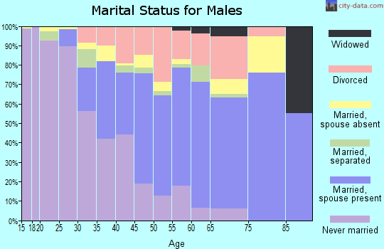 Zip code 30088 marital status for males
