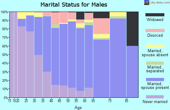 Zip code 30092 marital status for males
