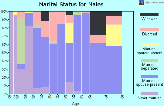 Zip code 30104 marital status for males