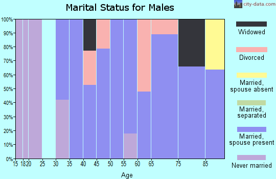 Zip code 30105 marital status for males