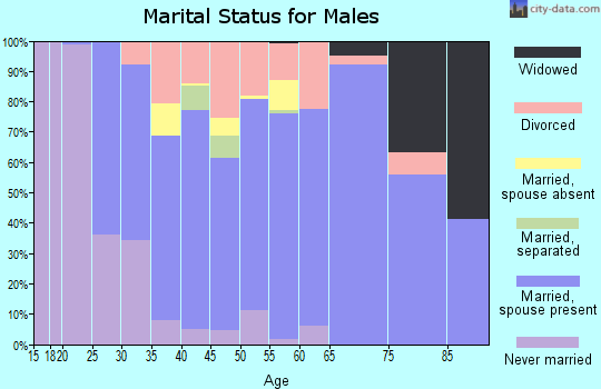 Zip code 30107 marital status for males