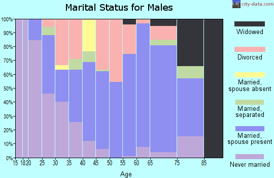 Zip code 30113 marital status for males