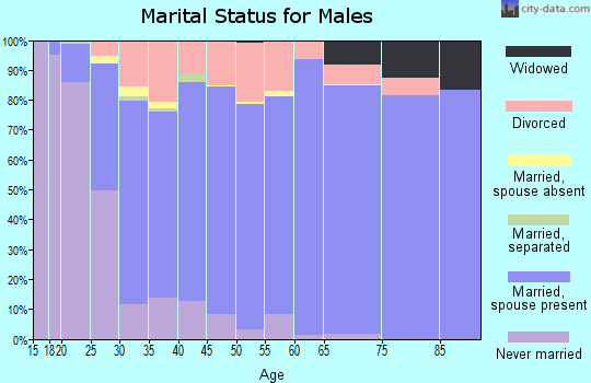 Zip code 30115 marital status for males