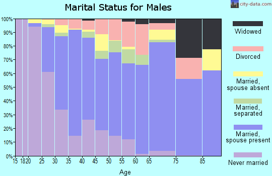Zip code 30126 marital status for males