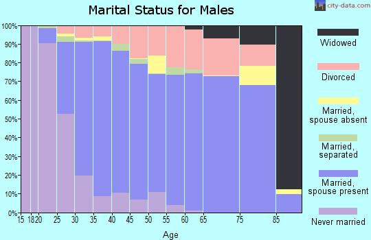 Zip code 30132 marital status for males