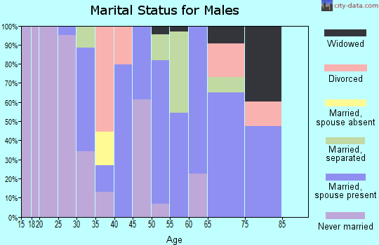 Zip code 30137 marital status for males