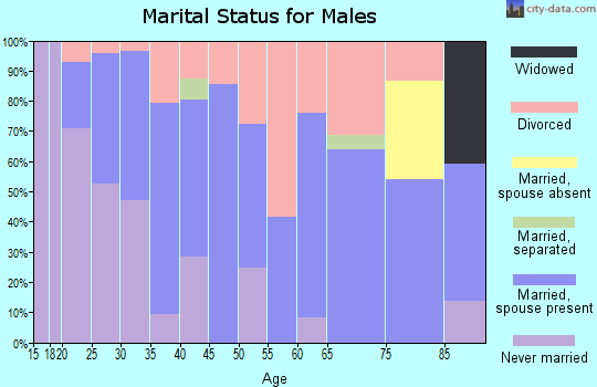 Zip code 30139 marital status for males