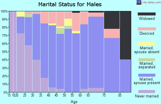 Zip code 30141 marital status for males