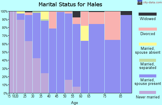 Zip code 30145 marital status for males