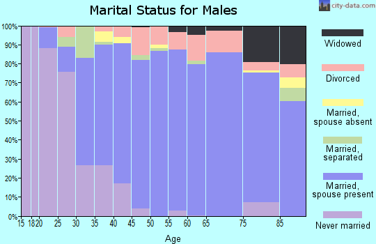 Zip code 30152 marital status for males