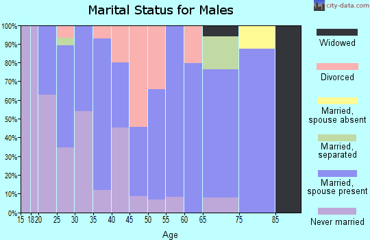 Zip code 30176 marital status for males