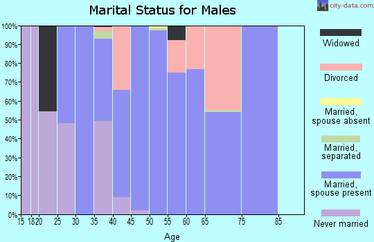 Zip code 30178 marital status for males