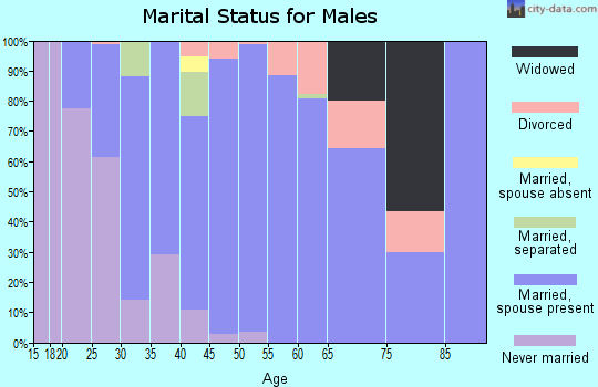 Zip code 30184 marital status for males