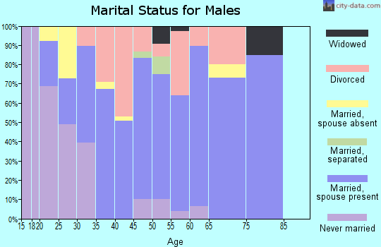 Zip code 30187 marital status for males