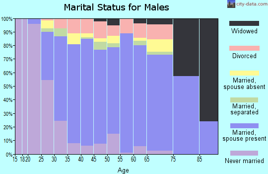 Zip code 30189 marital status for males