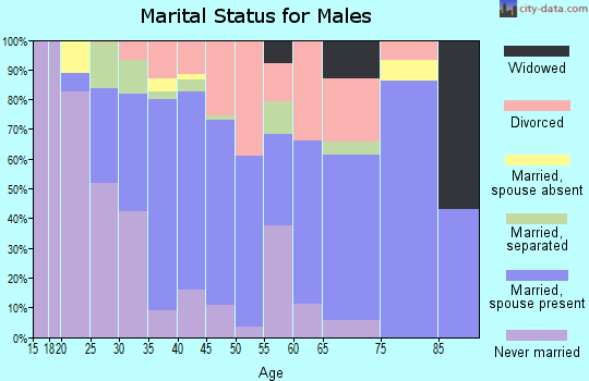 Zip code 30204 marital status for males