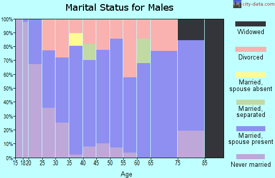 Zip code 30206 marital status for males