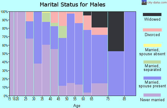 Zip code 30222 marital status for males
