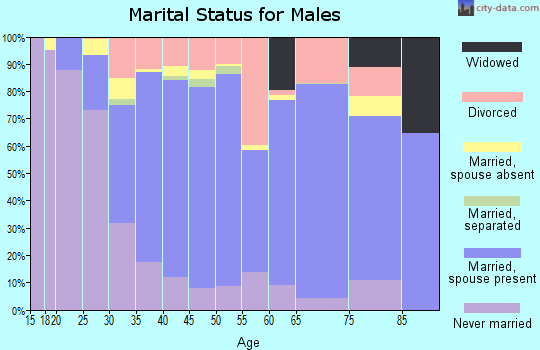 Zip code 30228 marital status for males