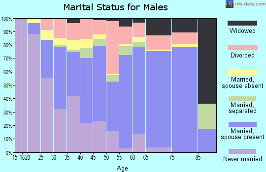 Zip code 30233 marital status for males