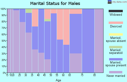Zip code 30234 marital status for males