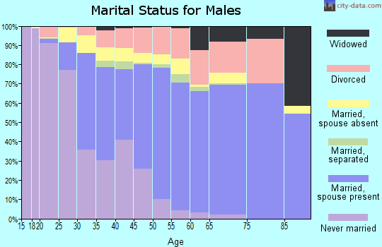 Zip code 30236 marital status for males