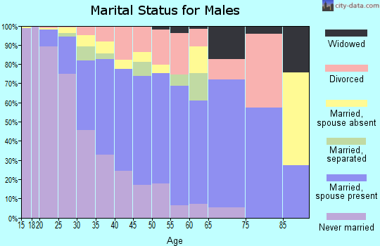 Zip code 30238 marital status for males