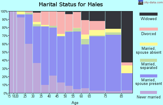 Zip code 30240 marital status for males